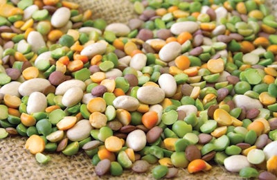 Pet Food Beans Ingredient