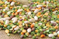 Beans could find a place in the next generation of pet food — if consumers are interested. | Darren Fisher, Dreamstime