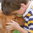 There are many ways beyond simple monetary donations for pet food companies to give back to their communities. | Sonya Etchison, Dreamstime