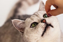 Photo by svetlanais.Fotolia.com