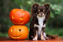 (otsphoto | BigStock.com)