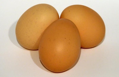 Ali Taylor, Freeimages.com