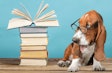 Pet nutrition research has always reflected current pet food trends, which currently means a focus on pet diets and those diets’ effects on animal health. | BillionPhotos.Fotolia.com