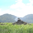 Dog on a pile of rocks in a sugar cane field in Mauritius | photo by Mauritius Stockphoto | BigStockPhoto