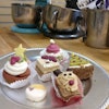 An assortment of dog treats at Three Dog Bakery's first location in Kansas City, Missouri, USA. | photo by Tim Wall