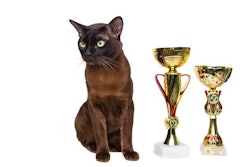 image by fotoliza, BigStock.com