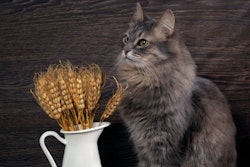 photo by kozorog | BigStockPhoto