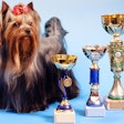 Photo by pardoy | BigStockPhoto