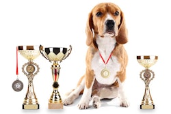 photo by Yastremska, Bigstock.com