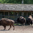 image by DMPhoto | BigStockPhoto