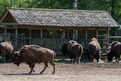 image by DMPhoto | BigStockPhoto