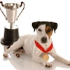image by Willee Cole, BigStockPhoto