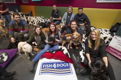 The Fish4Dogs team meets new friends in the doggy crèche. | Photo by John James