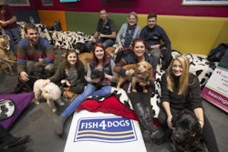 The Fish4Dogs team meets new friends in the doggy crèche. | Photo by John James