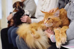 Pet food customers are, overall, skeptical of (or, at best, neutral on) trusting pet food manufacturers. | Evgeniy Kalinovskiy.Fotolia