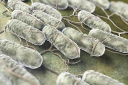 LexxIam | BigStockPhoto.com