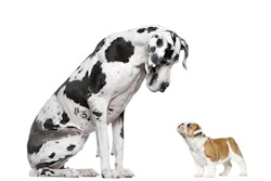 Life on White | Bigstock