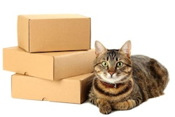 (5 second | BigStock.com)
