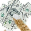 Photo by shymar27, Bigstock.com