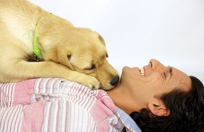 Making the right partnership with an athlete or celebrity can expand a pet food company’s ability to make a difference in their community, as well as get the word out about their brand. | fmarsican.Fotolia.com
