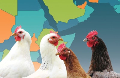 Liliya, Bigstock.com and dikobrazik, Fotolia.com