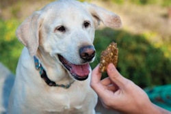 Photo by DOG for DOG