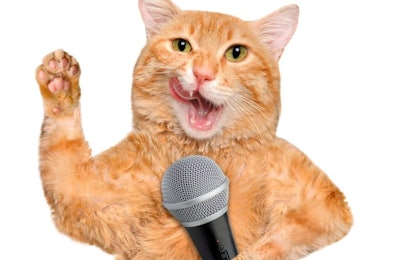 Cat Microphone Reporter Interview Journalist