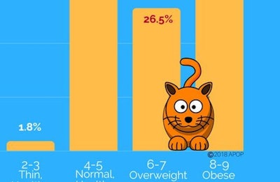 Apop Cats Obese Us 2017