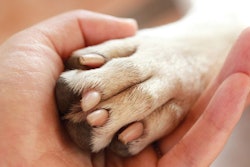 photo by TierneyMJ, Shutterstock.com
