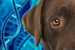 Photo courtesy of Mars Petcare