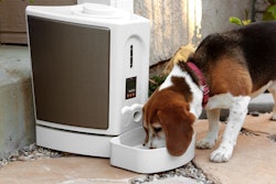 Courtesy of Pet Feedster