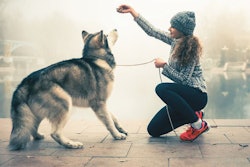 image by Pavel Ilyukhin, Shutterstock.com