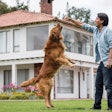 Pet owners continue to gravitate towards natural pet food products, even as their motivations behind how they choose those pet foods evolve. | andresr;, iStockphoto.com