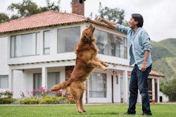 Pet owners continue to gravitate towards natural pet food products, even as their motivations behind how they choose those pet foods evolve. | andresr;, iStockphoto.com
