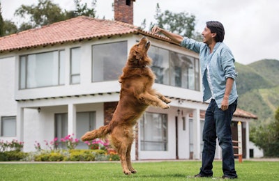 Pet owners continue to gravitate towards natural pet food products, even as their motivations behind how they choose those pet foods evolve. | andresr;, iStockphoto.com