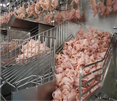 To minimize weight loss, carcasses should not be allowed to build up prior to further processing. | Eduardo Cervantes Lopez