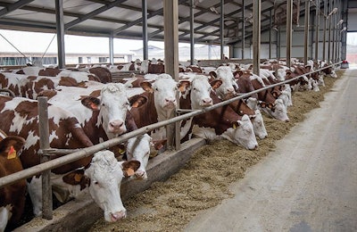 The foregut houses an ecosystem of anaerobic microbes that allow the ruminant to obtain nutrients from fibrous plant-based materials and the microbes themselves. | Vladimir Zapletin