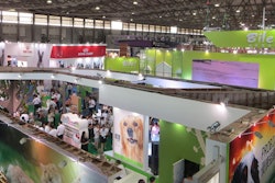 Debbie Phillips-Donaldson