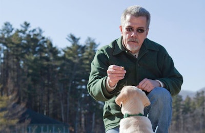 A dynamic shift in pet ownership towards households with higher incomes provides both challenges and opportunities for the pet food market trying to reach all pet owners. | cglade, iStockPhoto.com