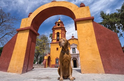 A tourist's dog sits outside a church in Bernal, Queretaro, Mexico. | (Quasarphoto | BigStock.com)