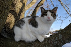 photo by Andrea Gantz