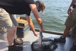 Through its regional ingredient sourcing strategy, Champion Petfoods obtains the catfish used in its products from a fishery located about 85 miles from its facility in Kentucky. l Debbie Phillips-Donaldson