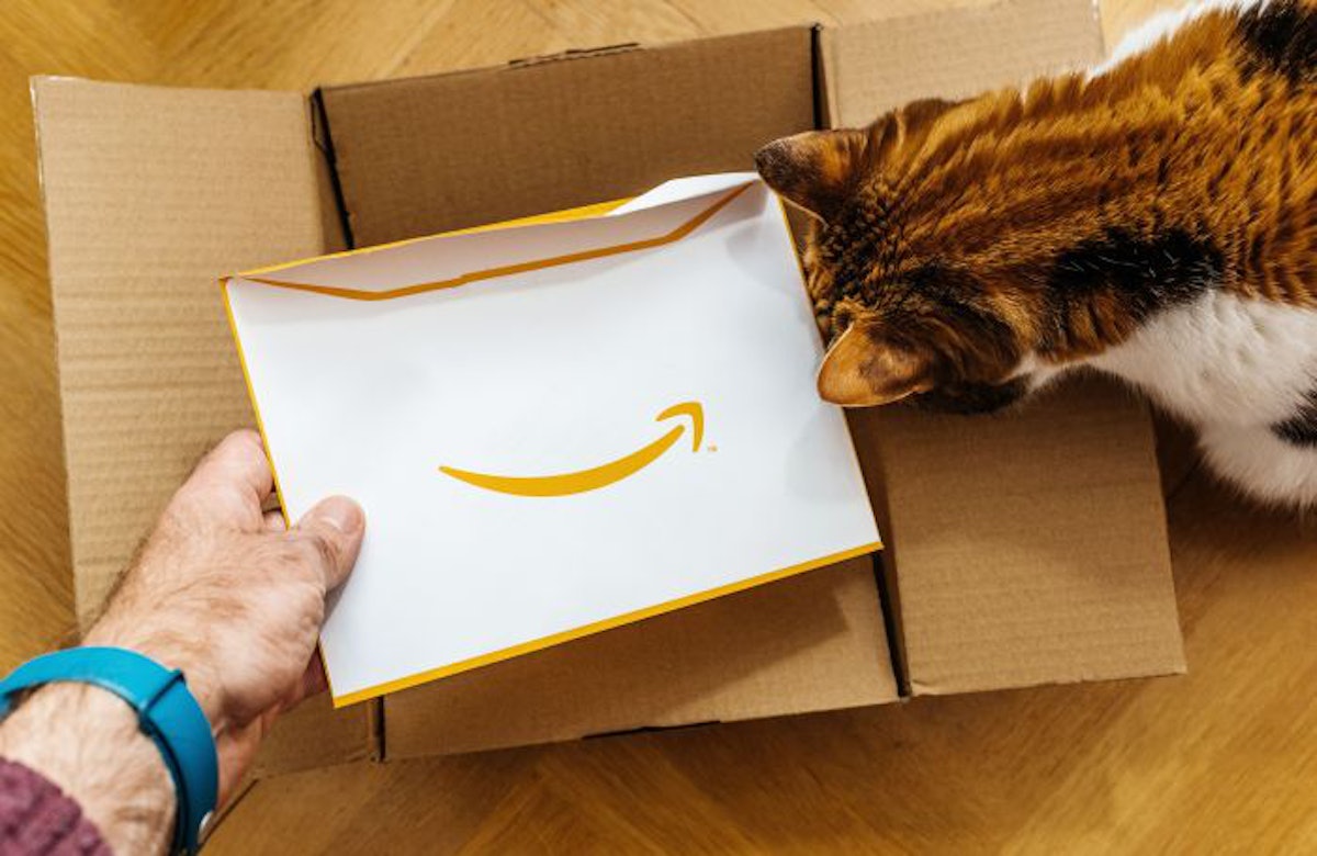 Solimo cat food deals