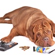 (vitalytitov | BigStock.com)