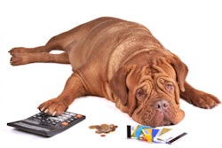 (vitalytitov | BigStock.com)
