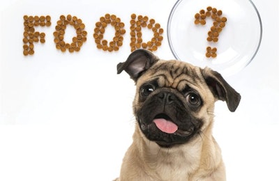Pet food industry professionals frequently ask about specific market information or how to get help for a business or production issue. | Eric Isselee, Shutterstock.com, and Xenia800, Bigstock.com