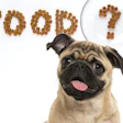 Pet food industry professionals frequently ask about specific market information or how to get help for a business or production issue. | Eric Isselee, Shutterstock.com, and Xenia800, Bigstock.com