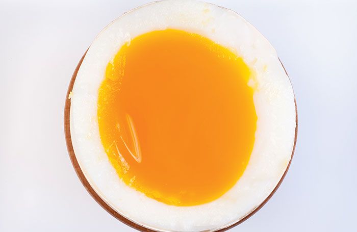 Egg producers need to remember that regulatory compliance is just the first step for a food safety program that pursues continuous improvement. | WiktorD, iStock