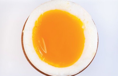 Egg producers need to remember that regulatory compliance is just the first step for a food safety program that pursues continuous improvement. | WiktorD, iStock