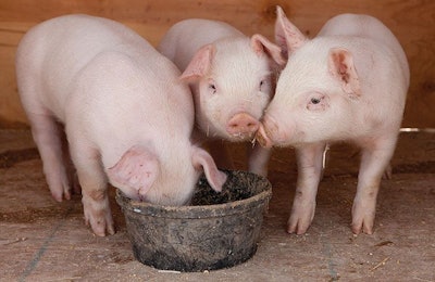 DaydreamsGirl | iStockPhoto.com